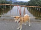 20150619_192726[1]