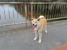 20150619_192740[1]