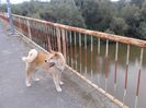 20150619_192801[1]