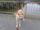 20150619_192747[1]