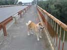20150619_192815[1]
