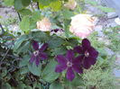 DSC09079