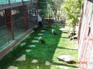 DSC00723