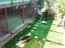 DSC00745