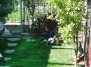 DSC00749