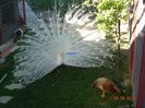 DSC01097
