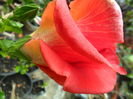 SAM_6363