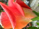 SAM_6364