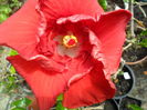 SAM_6365