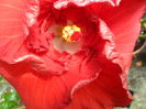 SAM_6367