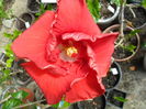 SAM_6368