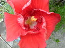 SAM_6369
