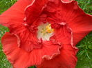SAM_6373