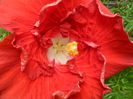 SAM_6374