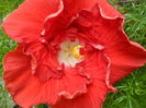 SAM_6375