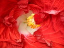 SAM_6376