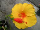 SAM_6391
