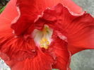 SAM_6406