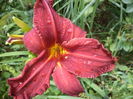 DSC04241