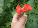 DSC04250
