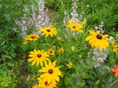 DSCN9891