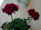 IMG_20150619_181945