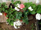 IMG_20150619_185741