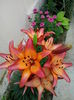 IMG_20150619_182000