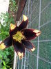 IMG_20150619_191600