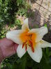 IMG_20150620_135009