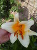 IMG_20150620_135013