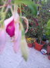 IMG_20150620_204356