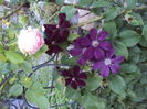 DSC09368