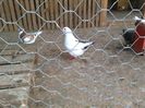 IMG_20150621_103052