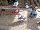 IMG_20150621_104336