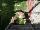 DSC00434