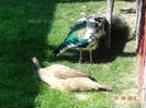 DSC00557