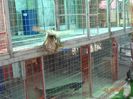 DSC00670