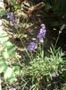 DSC08501