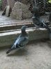 IMG_20150621_125558