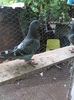 IMG_20150621_130438