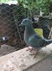 IMG_20150621_130449
