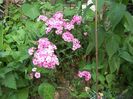 my photo 372