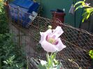 my photo 388