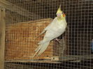 DSCF3696