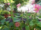 my photo 414