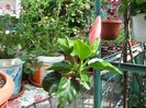 my photo 427