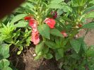 my photo 433