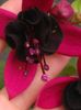 fuchsia blacky