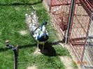 DSC00093